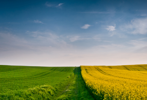 1693304579452110.png image.png