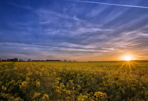 1693304745614364.png image.png