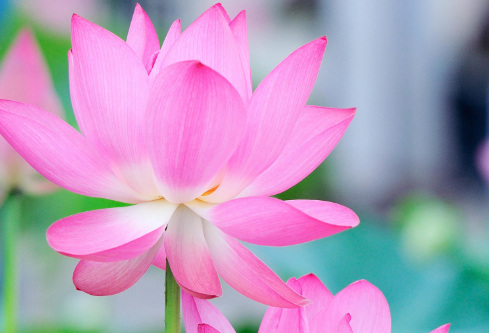 1693305907568938.png image.png