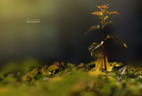 1693306073768595.png image.png