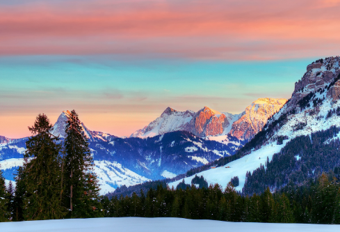 1693306405908343.png image.png