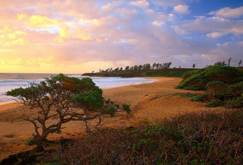 1693306738562417.png image.png