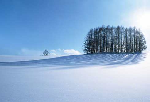 1693307402471629.png image.png