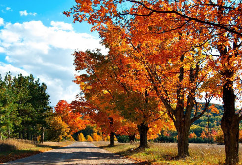 1693307900795738.png image.png