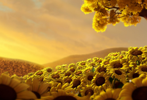 1693308232343648.png image.png