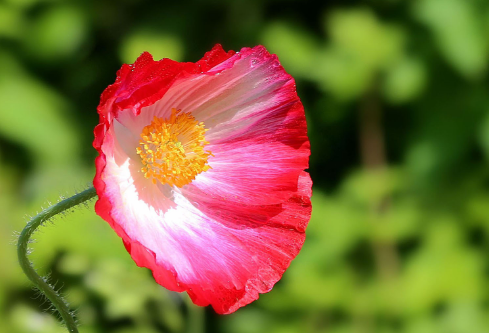 1693309727607676.png image.png