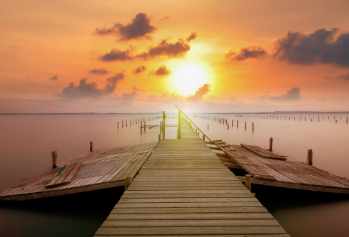 1693310558676941.png image.png