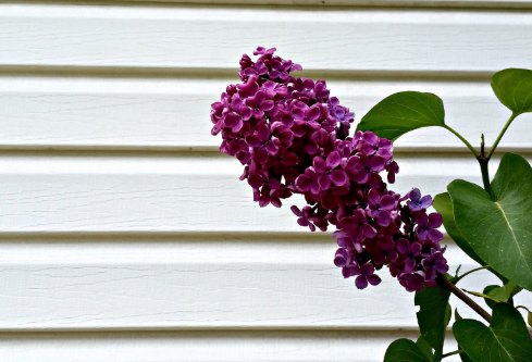 1693321678634913.png image.png