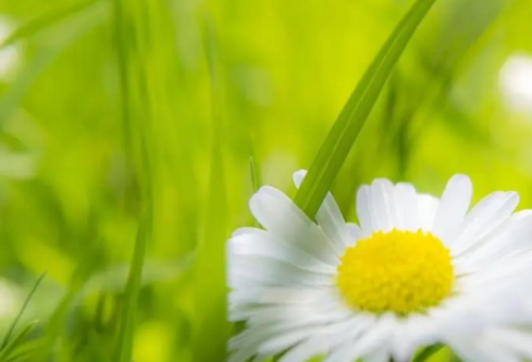 1693322342792663.png image.png