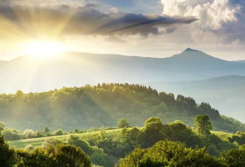 1693323005913493.png image.png