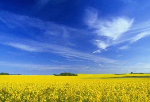 1693324996979014.png image.png