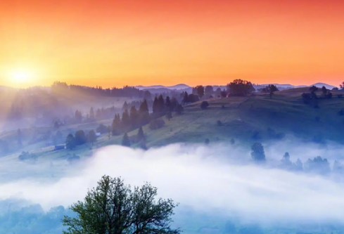 1693325826115639.png image.png