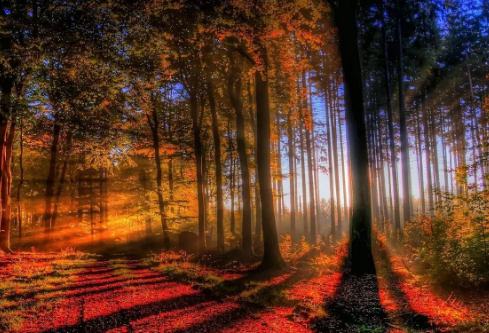 1693326325693553.png image.png