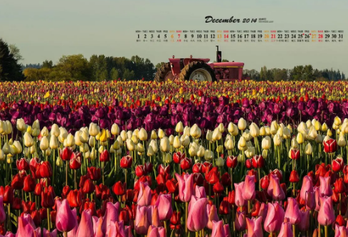 1693327487575640.png image.png