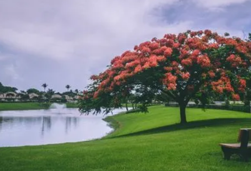 1693331635986519.png image.png