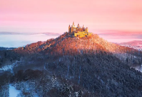 1693331801124445.png image.png