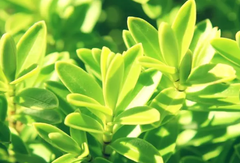 1693332133458595.png image.png