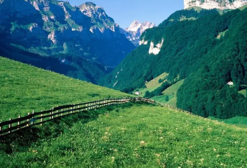 1693332465848543.png image.png