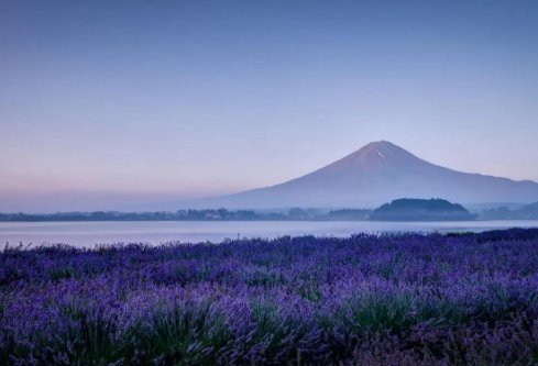 1693332631574135.png image.png