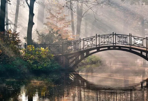 1693332797452262.png image.png