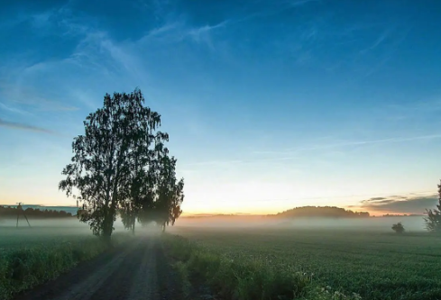 1693333461162959.png image.png