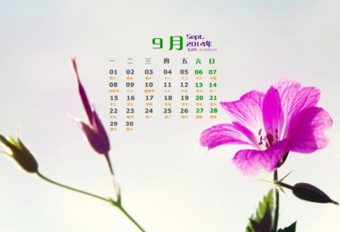 1693334124774158.png image.png