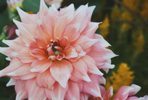 1693334457170911.png image.png