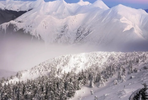 1693335120602718.png image.png