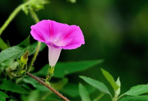 1693335452522739.png image.png