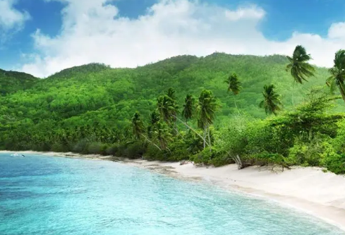 1693336946437722.png image.png