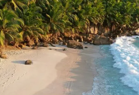 1693339268462299.png image.png