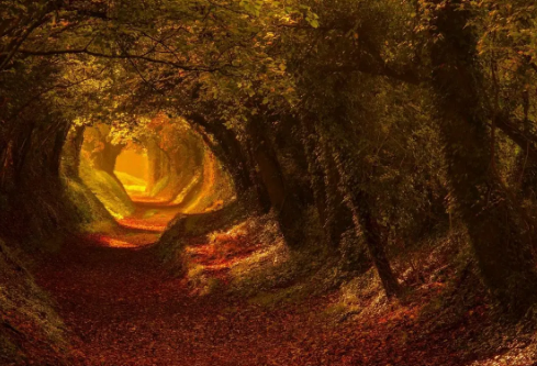 1693340927368972.png image.png