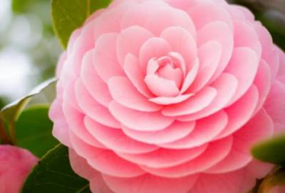 ​周末祝福信息