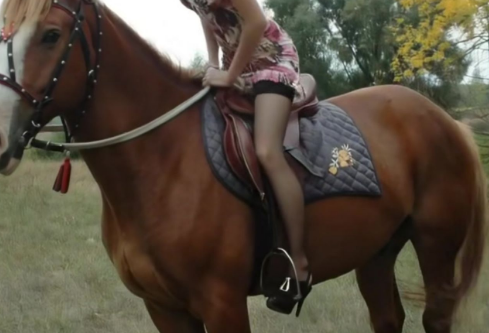 1768652406504057.png image.png